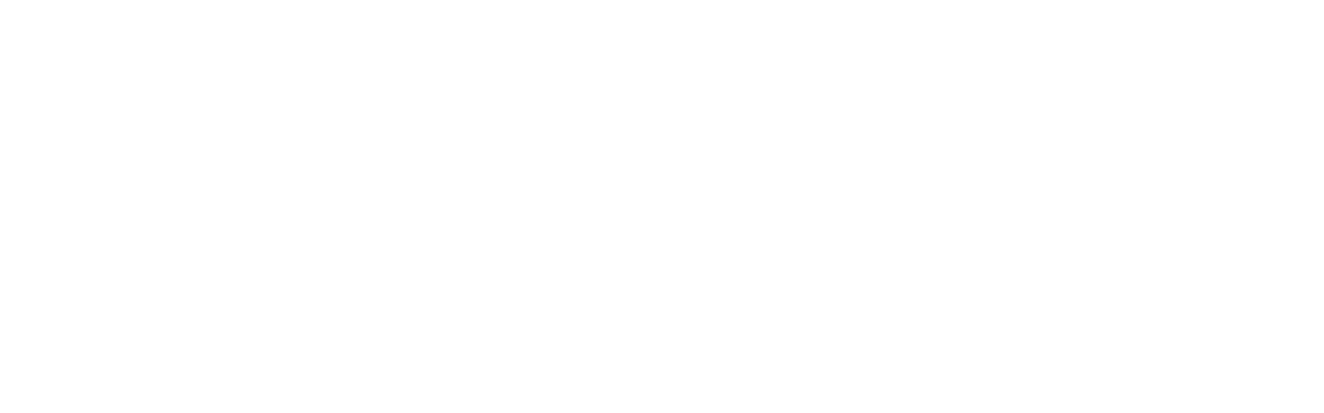 Lei Rouanet